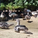 동녁골 농장 이미지