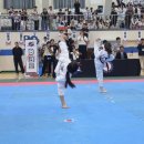 태낭태사 태권도 이미지