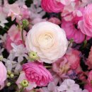 찾아가는 다문화이해교육 이미지