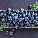 블루베리 앞 이미지