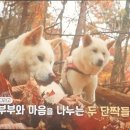 장미펜션 이미지