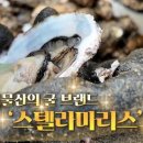 바다물산 이미지