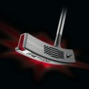 파라다이스 골프레인지 이미지