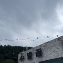 구산면615 | 창원 마산 돌장어 맛집 / 수밭골굴구이 내돈내산 후기