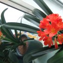 모아컴퓨터 이미지