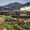 도야마을회관 이미지