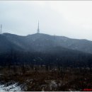 흥인농장 이미지