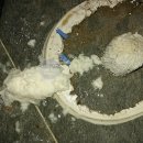 보라매동-24 이미지