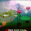 탁구 중급반 이미지