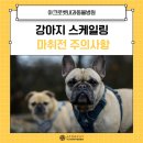 아크로벳 내과동물병원 이미지