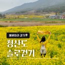 상서돌담마을 | [완도/청산도] 노랑 유채꽃과 아기 청보리가 있는 슬로걷기축제 (ft. 스탬프 사은품)