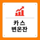 GS25 방배E푸른점 | 카스 변온잔 여름 한정판