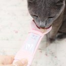 펫수니 네이버블로그