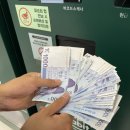 돌고래여행사주