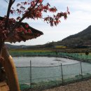 회진면사무소 이미지