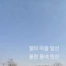 팔미1리 네이버블로그