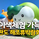 해조 | 2026 완도 해조류박람회 후기 아이랑 가볼만한곳 솔직후기