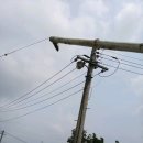 더원농장 이미지