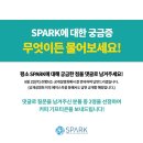 소파앤스파크 이미지