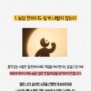 더품격 이미지