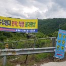 [가평] 계곡이 생각날 땐 꼭 가야 할 명지계곡&#39;호수 유원지&#39; 내돈내산 당일치기 찐 후기
