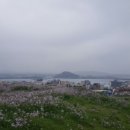 하루반찬 이미지