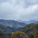 산청 지리산반달캠핑장 이미지