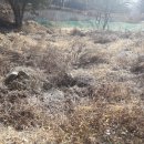 노은면사무소 이미지