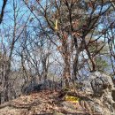 집재 태양광발전소 이미지