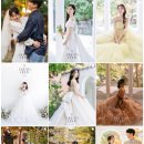 푸른축산물백화점 | [스드메] 서울 사는데 식은 울산에서 하면 사진은 어디서 찍어야할까요~?(feat.스드메 지역별 가격 정리...