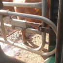 명성농장 이미지