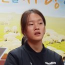 최진사