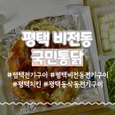 국민통닭 | 평택 비전동 전기구이 국민통닭 누룽지통닭 후기