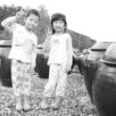 조광농장 이미지