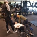 머슬앤라인 이미지