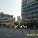 나성동_명동프라자앞BRT 이미지