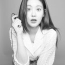 바로바사진관 조선일보