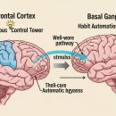 국립부곡병원 | 나쁜 습관 끊기 어려운 진짜 이유? 뇌 과학으로 이해하고 극복하는 법