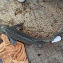 피쉬랜드낚시터 이미지