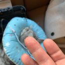 24시 와이즈 동물메디컬센터 이미지