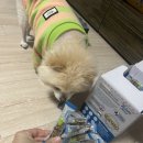 퍼스트덴탈 이미지