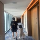 1374 | ❤D+1374❤ 부산여행 2일 차 부산피아크 송도해수욕장 즐거운여행
