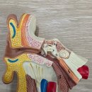 고박사 보청기 | 양산보청기 방문 후기｜전문가 맞춤 피팅과 사후관리 체험기~~