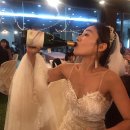 와린이의 올해 마신 와인 기록🍷::가성비 와인 추천/후기