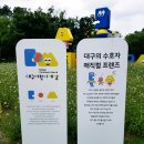 대구어린이세상