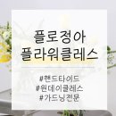 플로정아 이미지