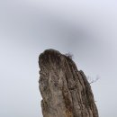 새터 마을회관 이미지