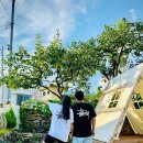 스테이유을 이미지