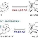 한국과학기술원 이미지