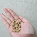 사라정 | 내돈내산, 허리둘레 -2인치 빠진 일본 방풍통성산후기, 가격, 효과, 직구, 사그라정 후기, 나이시토루